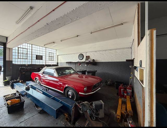 325M² BUILDING TO LET IN PAARDEN EILAND
